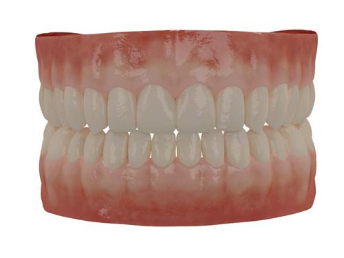Human Teeth preview image